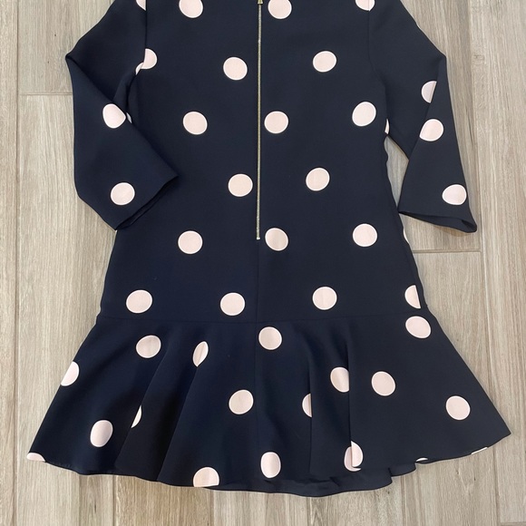 EUC kate spade Steal the Spotlight dress - Picture 4 of 8